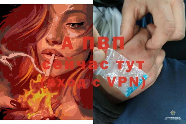 каннабис Каменка