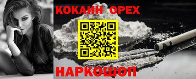 гашик Балахна