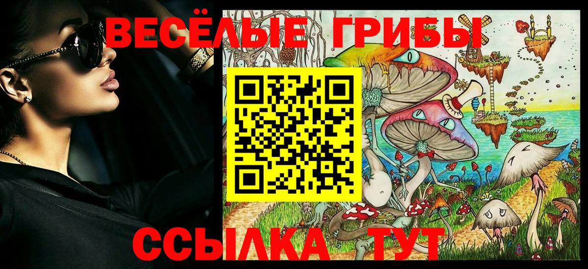 Псилоцибиновые грибы Cubensis  Балашиха  Псилоцибиновые грибы MAGIC MUSHROOMS 