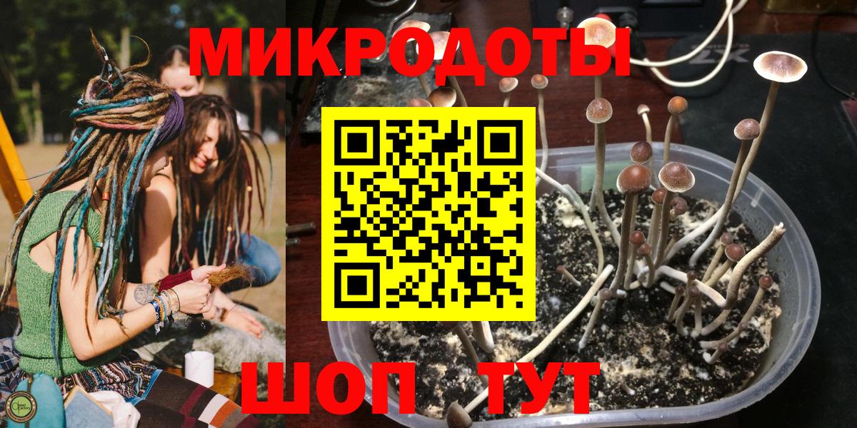 Балашиха  Галлюциногенные грибы мухоморы  Галлюциногенные грибы Psilocybe  Вход с VPN 